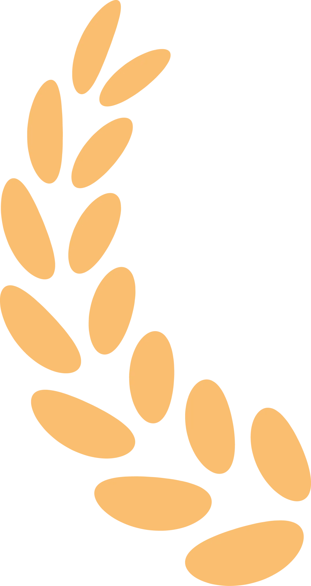 1744349265701030542.png